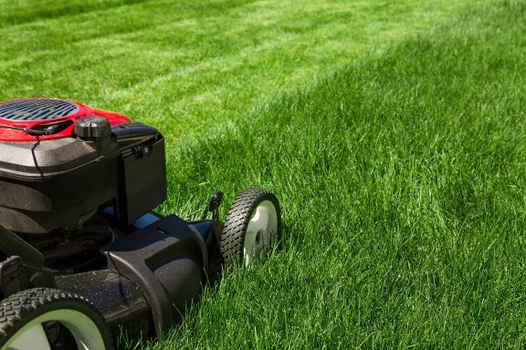 Lawn Cutting Push Mower