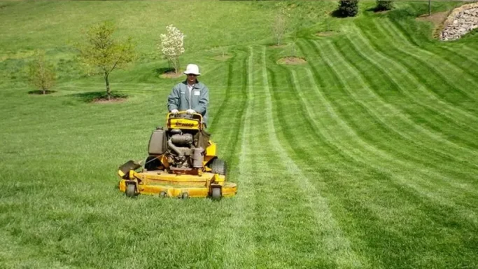 Zero Turn Cutting Your Lawn